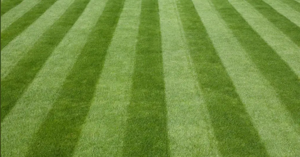 Lawn Fertilization in McPherson KS